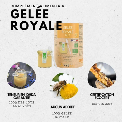 Cure de gelée royale en pot